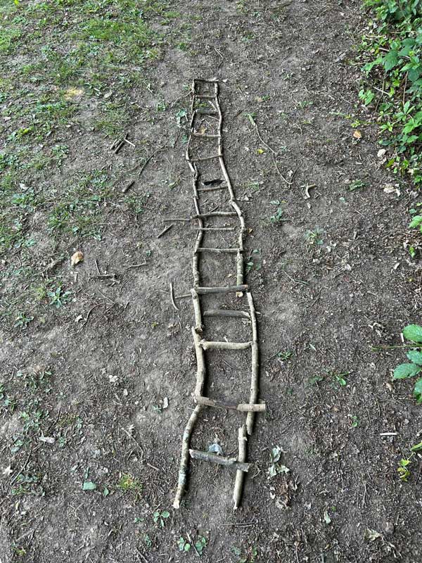 ladder